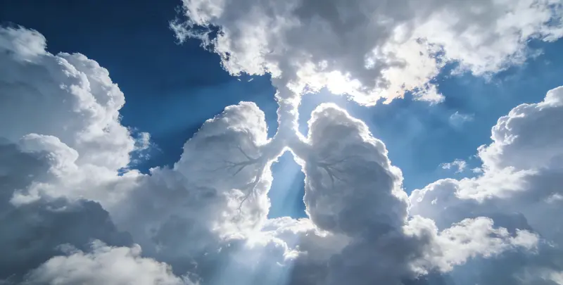 沧州肺癌8基因突变检测（组织）图片1