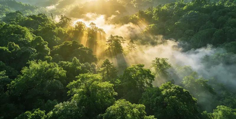 沧州肺癌靶向39基因检测及PDL122C3表达检测套餐（组织）图片1