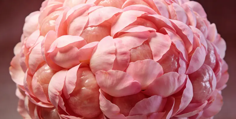 沧州BRCA1/2乳腺癌卵巢癌基因检测图片1