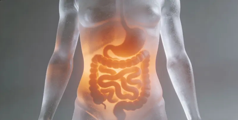 沧州胃癌分子分型基因检测项目（组织）图片1